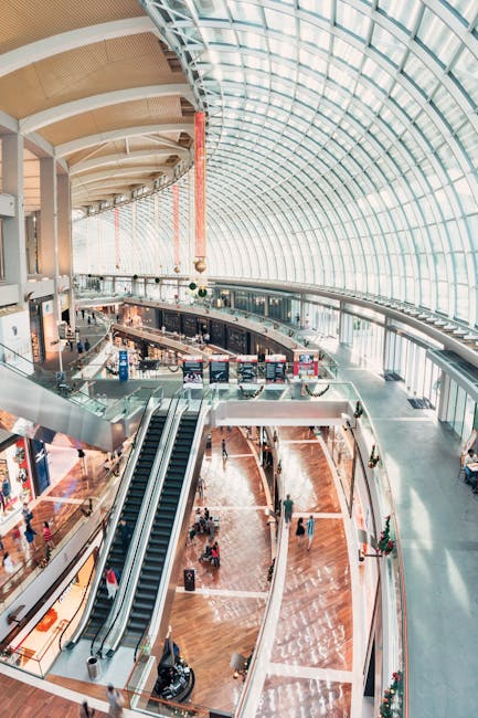 Financiación Pública